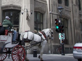 A calèche in Old Montreal. Over the years, cities like Toronto, London and Paris have barred horse-drawn carriages from their streets.