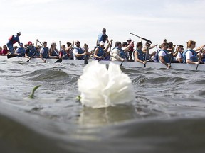 A carnation floats past members of dragon boat teams, as they throw their carnations in the water in memory of deceased cancer patients, during the ceremony held in Lachine on Saturday September 19, 2015.