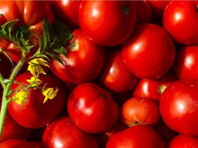 Now is the time to buy a big quantity and cook up a batch of tomato sauce for winter meals.