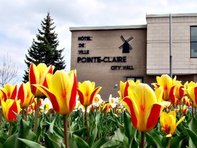 Reader Pix - Sprout 05 - (WEST ISLAND)/ EARLY BLOOMS: LINA LEPORE OF DOLLARD FRAMED POINTE CLAIRE CITY HALL BEAUTIFULLY.