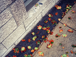 The first traces of autumn are captured in this image by @ahayeri7913.