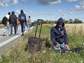 A migrant is praying at the road side of a freeway north of Rodby as a large group of migrants, mainly from Syria, walk on the highway moving to the north on September 7, 2015 in Denmark. The migrants want to reach Sweden to seek asylum there. Some of the migrants arriving in central Europe continue to other countries, as local authorities across the continent are trying to accommodate the rising tide of refugees.