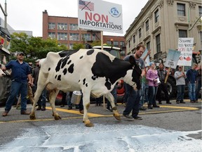 Dairy farmers take part in a protest in downtown Ottawa on Tuesday, Sept. 29, 2015. Dozens of dairy farmers from Ontario and Quebec gathered on Parliament Hill to raise concerns about protecting Canada's supply management system in the Trans Pacific Partnership negotiations.