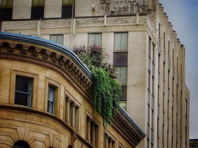 Up in the air: There seems to be a terrasse around every corner in Montreal, but those perched on the city’s rooftops take drinking and dining to the next level. There are the views – and some are truly outstanding – but each also delivers that little thrill of being above ordinary life on the street, writes The Garden Guy.