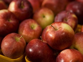 Quebec apples are by far the best fruit of the week.
