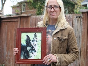 Karen Sutherland is shocked that an OPP officer in mistook her dog, Merrick, for a coyote, ran down the 21-year-old pooch down with his cruiser, then shot her dead in a residential neighbourhood in Collingwood, Ont. Monday night. Sutherland holds a photo of her beloved pet.
