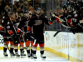 Patrick Maroon of the Anaheim Ducks celebrates with teammates as he skates by the bench after scoring goal against the Los Angeles Kings during NHL pre-season game at the Honda Center on Sept. 25, 2015 in Anaheim.