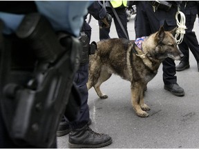 Montreal Police dog Loki in 2009.