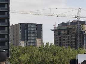 Housing starts will drop in Montreal this year, the Canada Housing and Mortgage Corp. says, but rental housing starts have almost doubled.