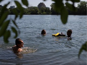 Montreal city councillors for the Verdun borough  Marie-Andrée Mauger, centre, Luc Gagnon and Richard Bergeron, left, swim in the Saint-Lawrence river in Montreal on Wednesday August 6, 2014. Projet Montreal is calling for a public beach to be built behind the Verdun Auditorium.