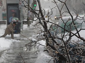 A man shovels  on Sherbrooke St. west near a fallen tree branch the in Montreal, on Sunday, January 4, 2015 after an early morning ice storm.