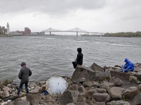 People fishing at Cité du Havre Park near the area in the St Lawrence where a Beluga whale was spotted, in Montreal, Wednesday October 10, 2012.