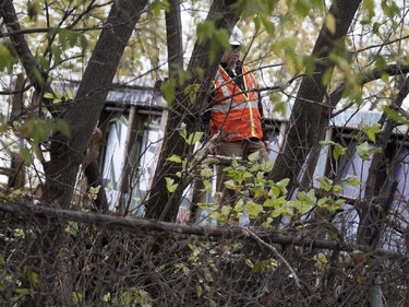 A CP Rail worker looks into the backyard of a home after a train derailed in Montreal on Thursday October 29, 2015. The railway car plunged into the backyard of a residential complex next to the tracks.
