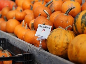Marché Jean talon #montreal #pumpkin.
