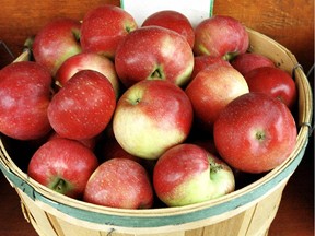 Juicy apple varieties like Lobo and McIntosh make good applesauce.