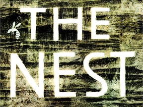 A detail from Jon Klassen's cover illustration for Kenneth Oppel's novel The Nest.