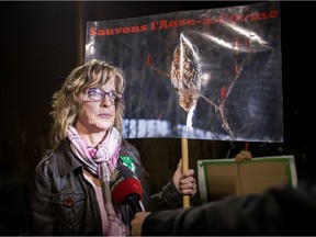 Pierrefonds resident Sue Stacho talks to the media outside the Pierrefonds-Roxoboro borough hall, on Monday, November 2, 2015. Several people gathered at the Pierrefonds-Roxoboro borough hall to present Mayor Jim Beis with a petition against the proposed housing development. (Giovanni Capriotti / MONTREAL GAZETTE)