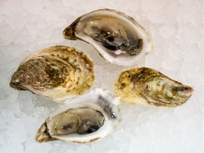 Some Quebec oysters.