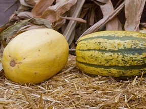 Take it easy this week: cut a squash in half, scoop out the threads and seeds, add some butter and maple syrup to the cavity and bake until tender.
