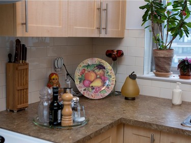 A detail of the kitchen counter decor.  (Allen McInnis / MONTREAL GAZETTE)