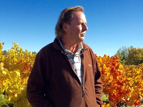 Peter Fischer of Château Revelette is one vigneron in Provence who devotes much of his production to red wine. Behind him is his old-vine cabernet sauvignon.