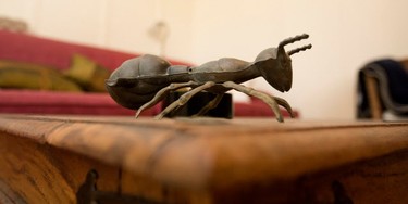 An antique brass ash tray in the shape of an ant sits on the table in living room area in the home of Annika Parance.  (Allen McInnis / MONTREAL GAZETTE)