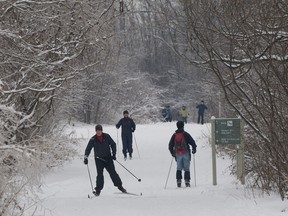 Cross-country skiers at Bois de Liesse in Pierrefonds. (Montreal Gazette file photo)
