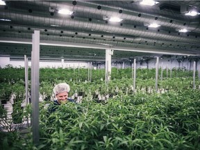 Authorized pot producer Tweed Inc. has a growing facility in Smiths Falls, Ont.