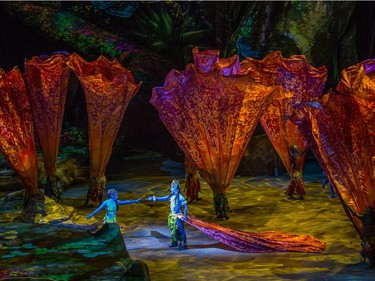 Artists perform during Cirque du Soleil's Toruk - The First Flight at the Bell Centre in Montreal.