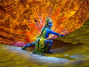 A performance of Toruk — The First Flight at the Bell Centre in Montreal in December 2015. The Cirque du Soleil production was inspired by the James Cameron film Avatar.