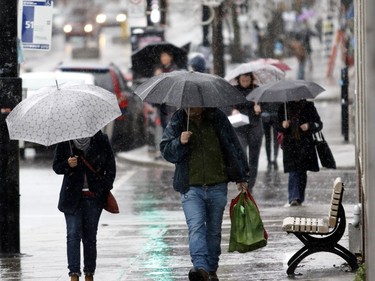 Pedestrians on Laurier Ave. use umbrellas to shield themselves from a downpour in Montreal on Thursday December 24, 2015.