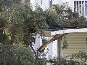 An uprooted tree caused by high winds is shown on the roof of a house in the town of Hudson west of Montreal, on Thursday, Dec. 24, 2015, resulting in loss of electricity for many homes.