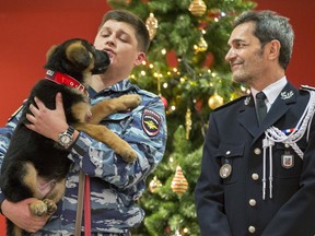 A Russian police officer holds a puppy, named Dobrynya, as a French police officer smiles before presenting the puppy to French police in the French Embassy in Moscow, Russia, on Monday, Dec. 7, 2015.