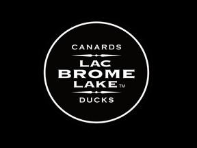 Brome Lake Ducks