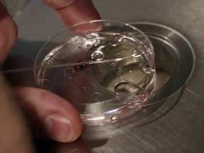 In this Oct. 11, 2013, file photo, Embryologist Rick Slifkin demonstrates fertilization techniques on a nonviable embryo at Reproductive Medicine Associates of New York, in New York.