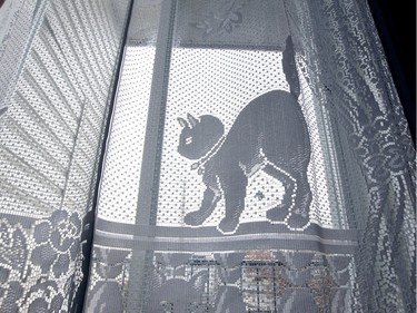 Cat motif in the lace curtains in the kitchen of Myriam Rochet's Verdun flat. (John Mahoney / MONTREAL GAZETTE)