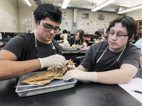 Matthew Saroop, left, and Dylan Manni dissect a squid during marine biology class at Lindsay High School in Pointe-Claire on Monday January 25, 2016.  (John Mahoney / MONTREAL GAZETTE)