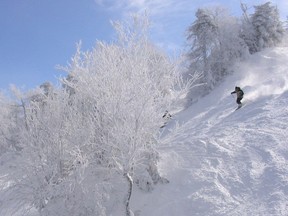 Mont Sutton ski resort