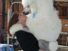 Ora Marcus breeds and shows poodles, and operates Ormar Standard Poodles in Île Bizard.