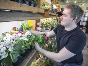 Cameron MacDonald, horticulture expert at Pointe-Claire Nursery Maison, advises choosing plants resilient enough to endure, even thrive, in low-light and low-moisture conditions.