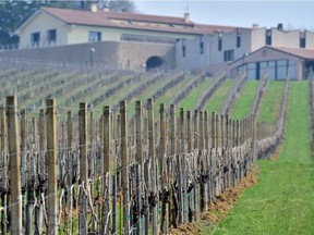 Vineyard in San Pietro di Feletto near Conegliano. From the English-speaking word to China and South-East Asia, it seems wine lovers can't get enough of prosecco, the Italian sparkler that has outstripped champagne as the world's favourite bubbly.