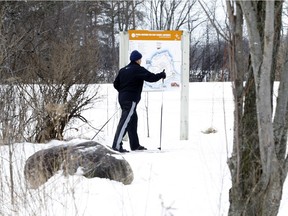 Cross-country skier enjoys the mild temperature at Cap-St-Jacques Nature Park on Sunday, January 31, 2016. (Marie-France Coallier / MONTREAL GAZETTE)