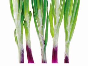 Scallions stand portrait-like in Culinary Art, a cookbook by Magog-based photographer Marianne McEwen.