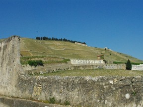 The Northern Rhône is home to three of the "gras" grapes: marsanne, roussanne and viognier.