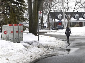 A woman walks her dog on Tuesday near a community mailbox which stands on Bathurst  street in Pointe-Claire, not too far from Lakeshore Road. It has been moved twice now and residents are still upset. (Marie-France Coallier / MONTREAL GAZETTE)