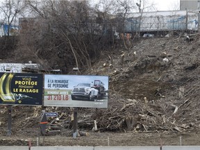 Trees were cut down on Ste-Anne-de-Bellevue St. in N.D.G. near the work being done on the Turcot Interchange.