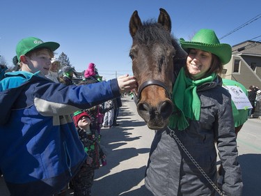 Sherry Gilmer walks Trooper during the St. Patrick's Parade in Hudson on Saturday, March 19, 2016.