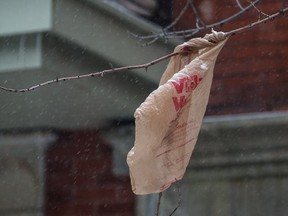A plastic bag stuck on a tree branch during a Montreal winter.