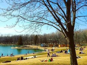 "21C!" The scene on Mount Royal on Sunday, shared by Azadeh Hayeri on Instagram.