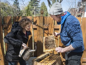 Declan Rankin Jardin, one of the three founders of Alvéole, a Montreal-based company renting out beehives, shows homeowner Karen Hickey how to take care of a hive in her backyard Wednesday, April 20, 2016 in Montreal.